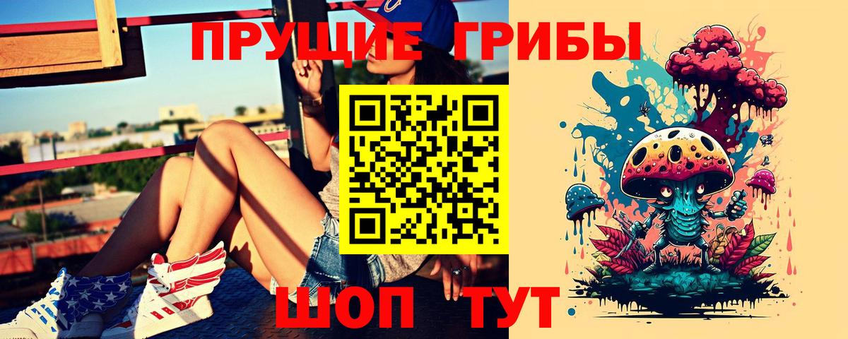 Галлюциногенные грибы прущие грибы  Псилоцибиновые грибы прущие грибы  Дзержинск  Вход с VPN 