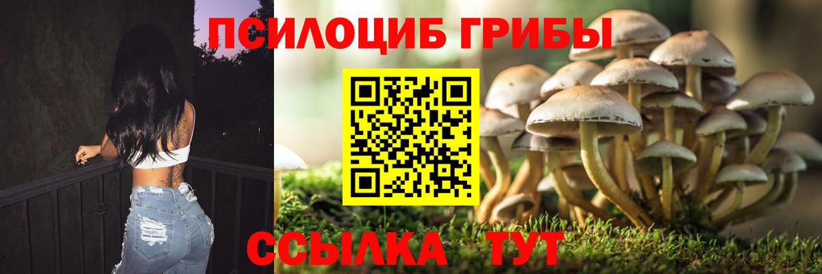 Псилоцибиновые грибы MAGIC MUSHROOMS Дзержинск